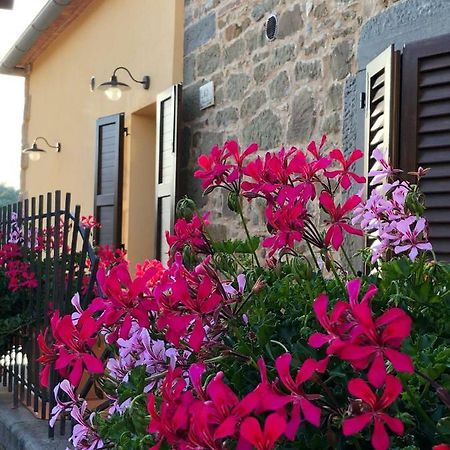 Ferienwohnung Mamma Laura Vagliagli Exterior foto