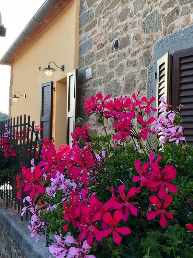 Ferienwohnung Mamma Laura Vagliagli Exterior foto